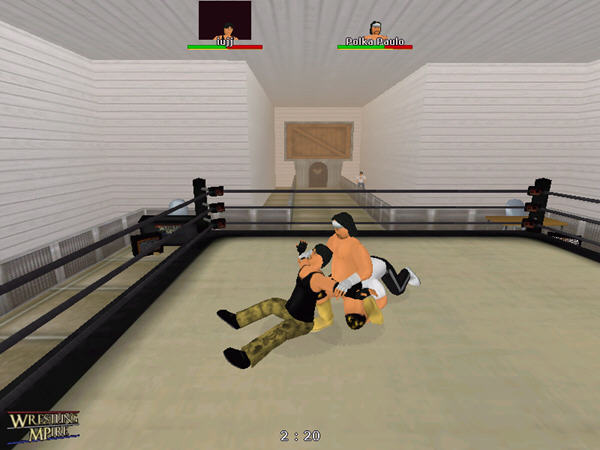 格斗摔角下载_WWF最流行摔角游戏_单机游戏