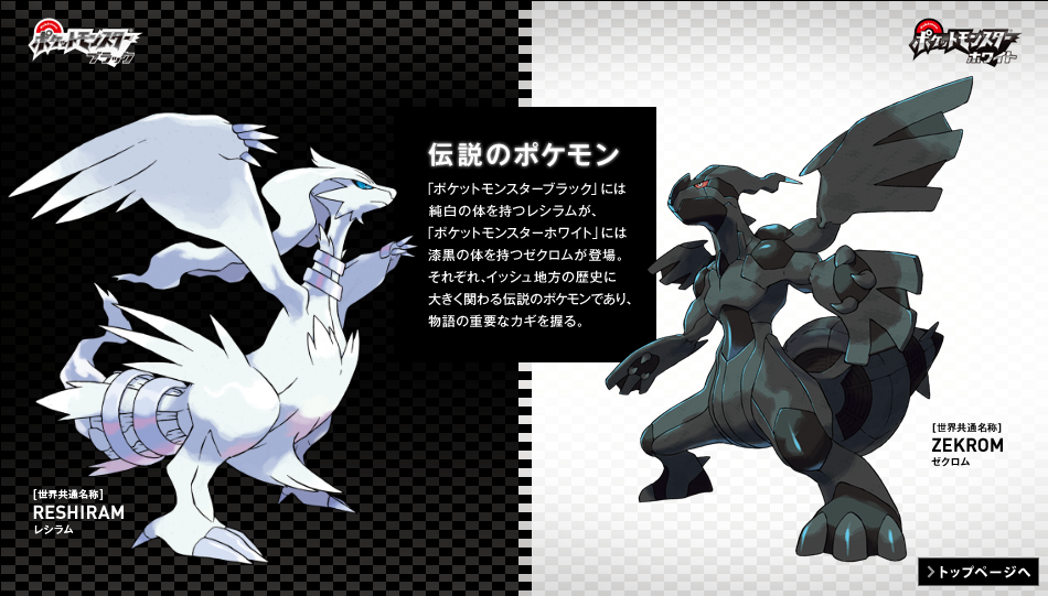 口袋妖怪黑白神兽(图文介绍)