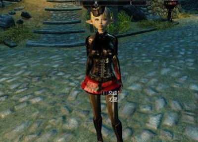 上古卷轴5乳胶衣MOD 下载_存档MOD