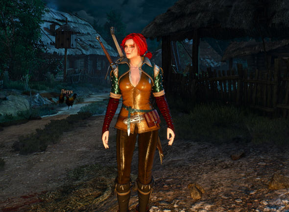 巫师三mod在哪里下载 14495568146702146.jpg